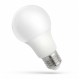 LED žiarovka E27 A60 LED 10W 820Lm Studená biela 6000K spectrumLED WOJ13901