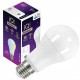 LED žiarovka E27 A67 LED 19W 2452Lm Cold White 6500K KANLUX IQ-LED