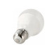 LED žiarovka E27 A60 LED 10W 1000Lm Warm White 3000K AC/DC 24V ecolight