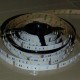 Flexibilný LED pás RGB+NW 12W/m 12V 12mm