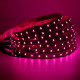 Flexibilný LED pás LS 60LED RGBCCT SMD5050 (5 chips in 1) 24W 24V IP20 12mm