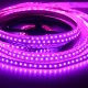 LED pás LS 120LED SMD2835 15W 660Lm PINK 24V 10mm