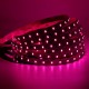 Flexibilný LED pás LS 60LED RGBCCT SMD5050 (5 chips in 1) 19W 12V IP20 12mm