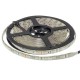 LS RGB 60LED SMD5050 14,4W 12V (IP65 by drip gum) OPTONICA