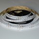Flexibilný LED pás LS 240LED SMD2216 (120CW+120WW) 19,2W 1480Lm CCT  CRI90 DC24V IP20