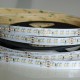 Flexibilný LED pás LS 240LED SMD2216 (120CW+120WW) 19,2W 1480Lm CCT  CRI90 DC24V IP20