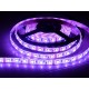 LS RGB 60LED SMD5050 (6 chips in 1) 14,4W 12V (IP65 by drip gum)