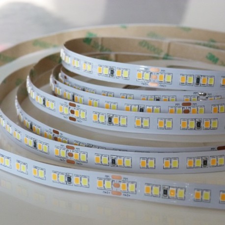 Flexibilný LED pás 192LED/m CCT SMD2835 (96LED CW+96LED WW) 21W/m 24V 10mm