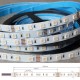 Flexibilný LED pás LS RGBNW (4 chips in 1) 60LED SMD5050 16W 24V IP20 10mm