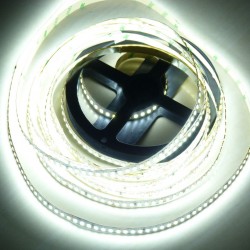 Flexibilný LED pásLS 168LED SMD2835 21W 2100Lm Cold White 6000K CRI95 24V 10mm