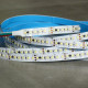 Flexibilný LED pás LS Digital 156LED SMD2835 Cold White WS2811IC Chasing Effect 15W 24V 10mm