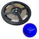 LED pás LS 480LED COB 9W BLUE 12V CRI80 ecolight 8mm