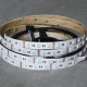 LED pás LS 60LED RGBNW SMD5050 (4in1) 14,4W 12V LUMILED 12mm