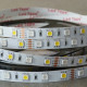 Flexibilný LED pás LS RGB+NW 60LED SMD5050 14,4W 12V masterLED 10mm