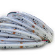 LS 576LED COB Digital RGB WS2811 IC 16W 24V CRI80 OPTONICA 10mm