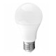 E27 A60 LED 10W 1000Lm Natural White 4000K AC/DC 24V ecolight