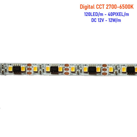 LS Digital 120LED SMD2835 (2in1) CCT 2700-6500K WS2811IC 12W 12V 8mm