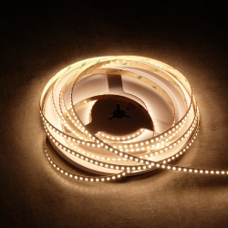 LS 160LED SMD2835 9,6W 970Lm Warm White CRI95 24V A-LED 8mm