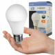 LED žiarovka E27 A60 LED 10W 1000Lm Cold White 6500K AC/DC 24V ecolight