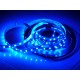 Modrý LED pás LS 60LED SMD5630 14W 380Lm BLUE 12V 10mm