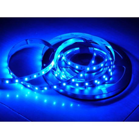 Modrý LED pás LS 60LED SMD5630 14W 380Lm BLUE 12V 10mm