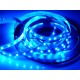 Modrý LED pás LS 60LED SMD5630 14W 380Lm BLUE 12V 10mm