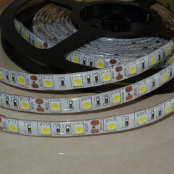 LS 60LED SMD5050 14,4W 800Lm Cold White 12V (IP63 by drip gum) 10mm ecolight
