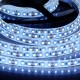 Flexibilný LED pás LS 120LED SMD2835 14W 1400Lm Cold White 12V Ra80 IP65 10mm