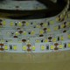 Flexibilný LED pás LS 120LED SMD2835 14W 1420Lm Cold White 12V