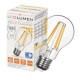 E27 Filament LED 13W 1894Lm Warm Whute LEDLUMEN