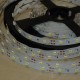 Flexibilný LED pás 60LED/m SMD3528 4,8W/m 200Lm Studená biela OPTONICA