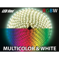 LS RGBW (4 chips in 1) 60LED SMD5060 19,2W 12V IP20 12mm LEDline