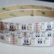 LED pás LS RGBNW (4 chips in 1) 60LED SMD5050 19,2W 12V IP20 12mm LEDline