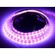 Flexibilný RGB LED pás 60LED/m 14,4W/m DC 24V 10mm IP65 - zaliaty z vrchnej strany silikónom