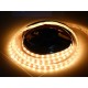 Flexibilný RGB LED pás 60LED/m 14,4W/m DC 24V 10mm IP65 - zaliaty z vrchnej strany silikónom