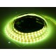 Flexibilný RGB LED pás 60LED/m 14,4W/m DC 24V 10mm IP65 - zaliaty z vrchnej strany silikónom