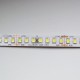 LED pás 168LED/m SMD2835 21,2W/m 2080Lm/m Warm White 24V 10mm